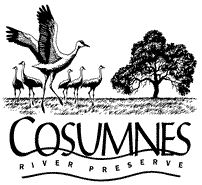 cosumnes-river-preserve