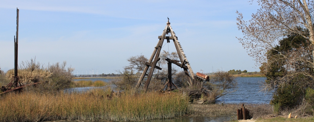 Big Break, Oakley, Sacramento-San Joaquin Delta. Photo by Chris Austin. All rights reserved.