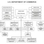 Commerce Department Org Chart