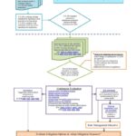 DPR regulation flowchart