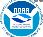 National Marine Fisheries Service (NOAA Fisheries or NMFS)