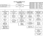 USFWS Org Chart